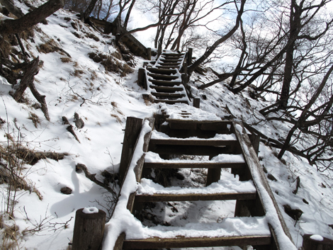 20160218hike (211)
